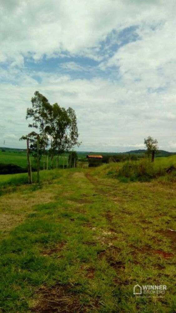 Chácara, 3 quartos, 5 hectares - Foto 9