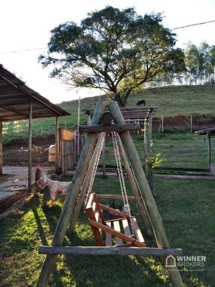 Chácara, 3 quartos, 5 hectares - Foto 7