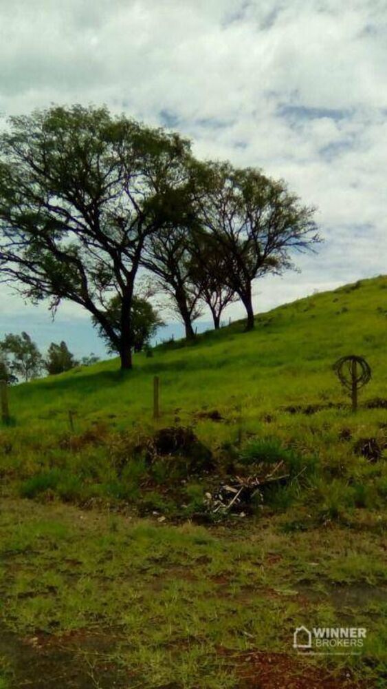 Chácara, 3 quartos, 5 hectares - Foto 1