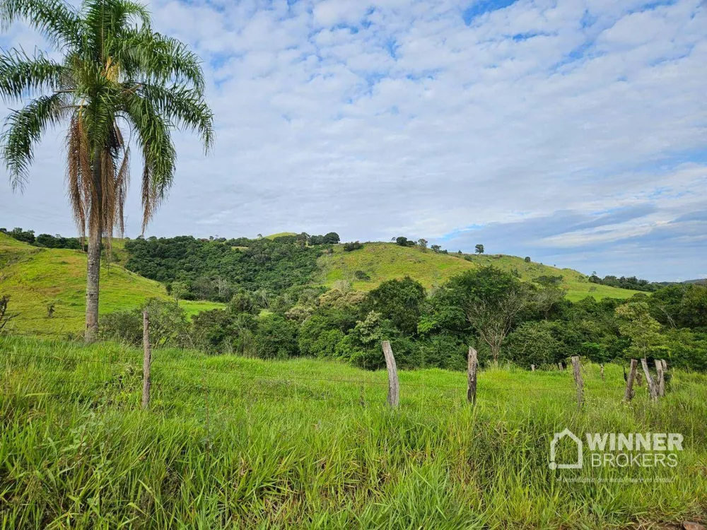 Fazenda à venda com 2 quartos, 8615200M2 - Foto 2