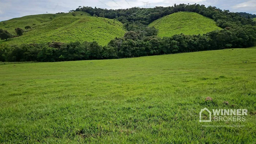 Fazenda à venda com 2 quartos, 8615200M2 - Foto 3