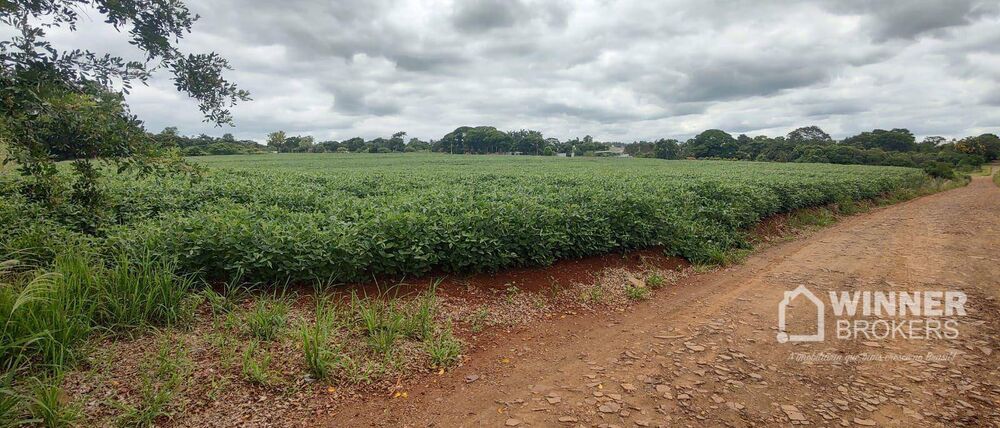 Terreno, 7 hectares - Foto 1