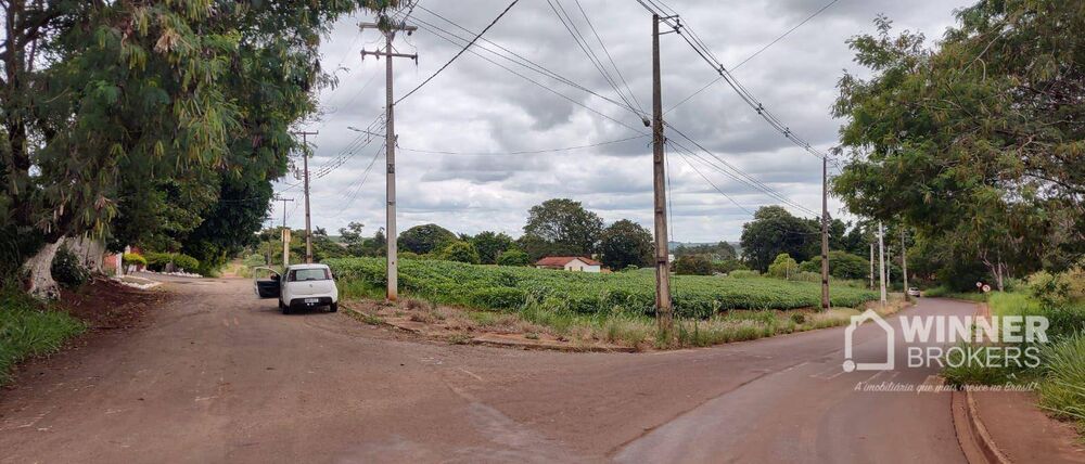 Terreno, 7 hectares - Foto 4