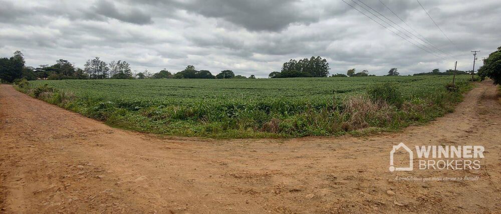 Terreno, 7 hectares - Foto 5