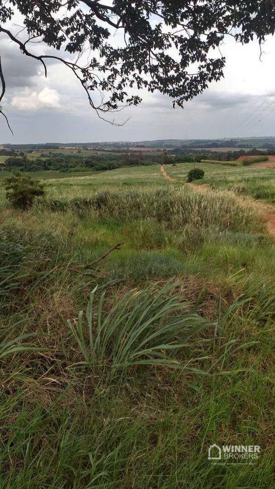Chácara à venda com 1 quarto, 20000M2 - Foto 2