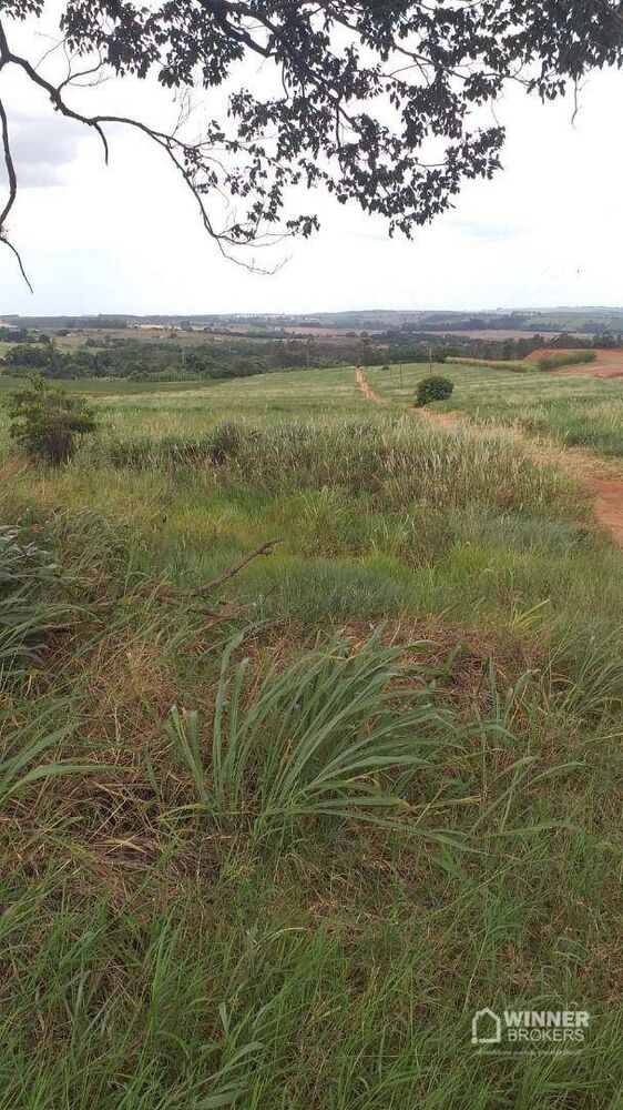 Chácara à venda com 1 quarto, 20000M2 - Foto 4