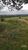 Chácara, 1 quarto, 2 hectares - Foto 2