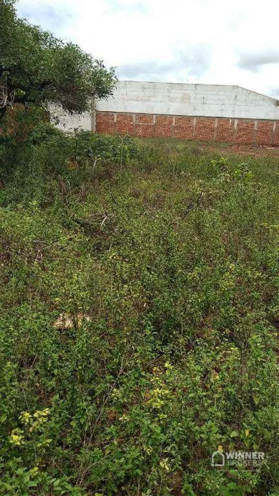 Terreno, 1000 m² - Foto 4
