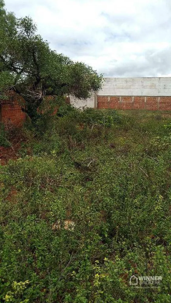 Terreno, 1000 m² - Foto 2