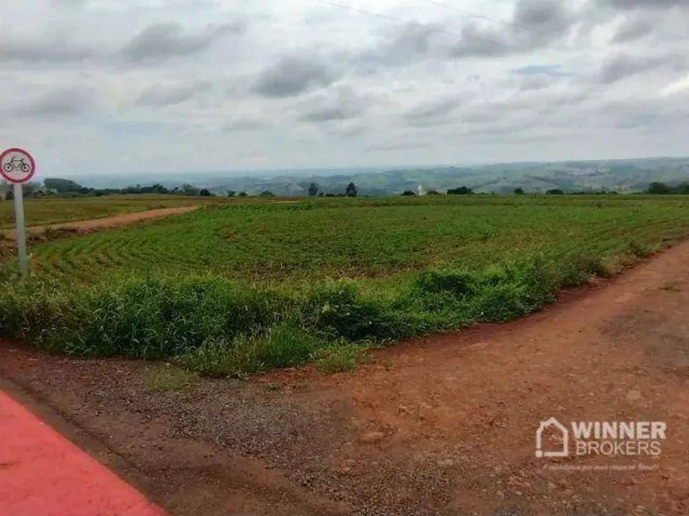 Terreno, 2 hectares - Foto 3