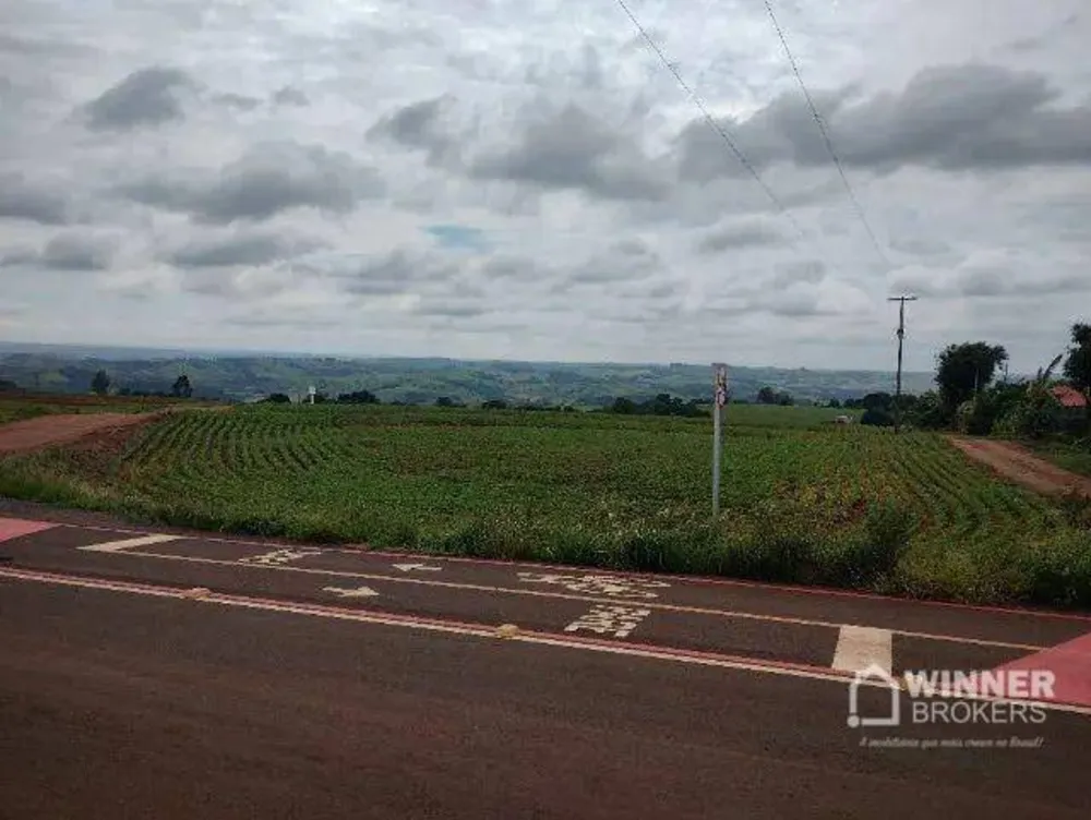 Terreno, 2 hectares - Foto 2