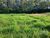 Terreno, 1000 m² - Foto 2
