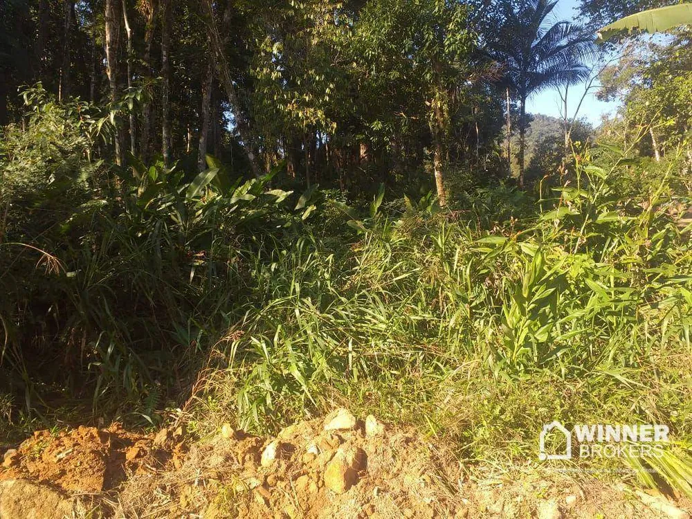 Terreno, 29 hectares - Foto 2