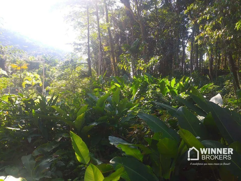 Terreno, 29 hectares - Foto 4