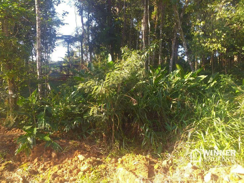 Terreno, 29 hectares - Foto 3