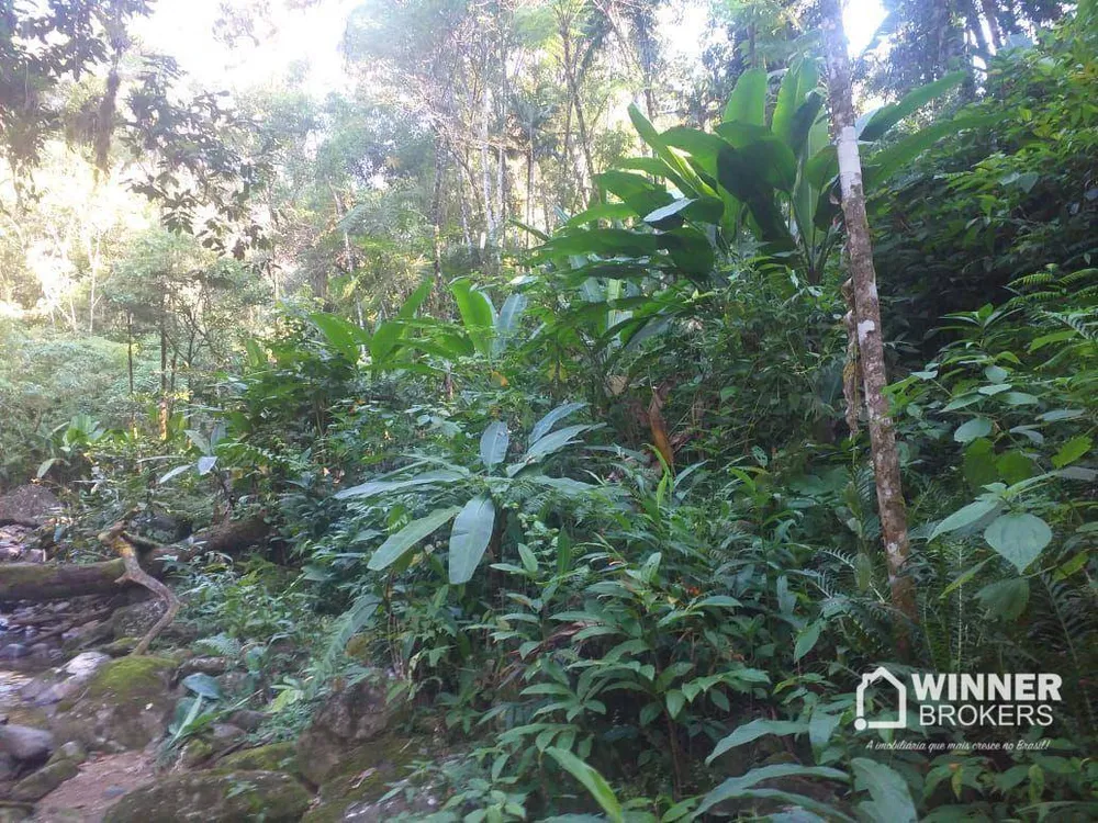 Terreno, 29 hectares - Foto 6