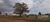 Terreno, 1 hectares - Foto 9