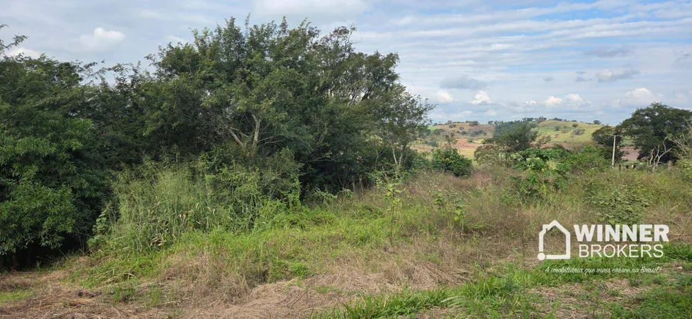 Chácara, 10000 m² - Foto 7