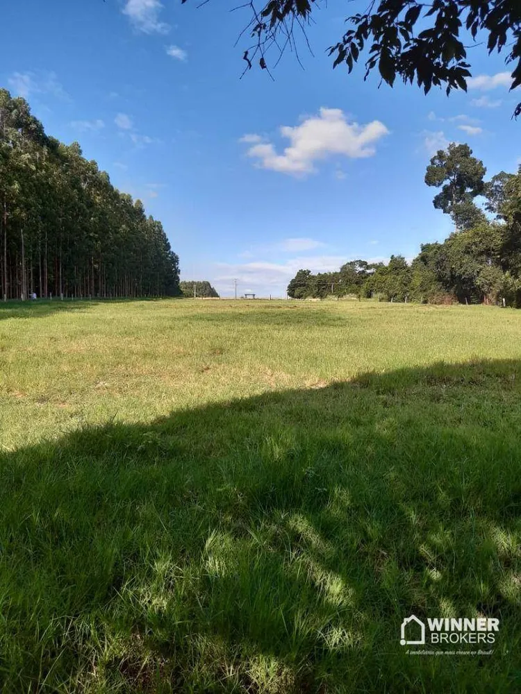 Chácara, 2000 m² - Foto 1