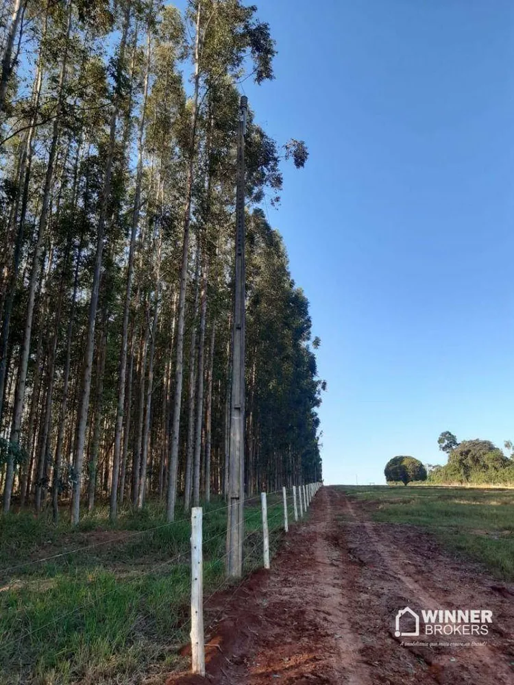 Chácara, 2000 m² - Foto 2