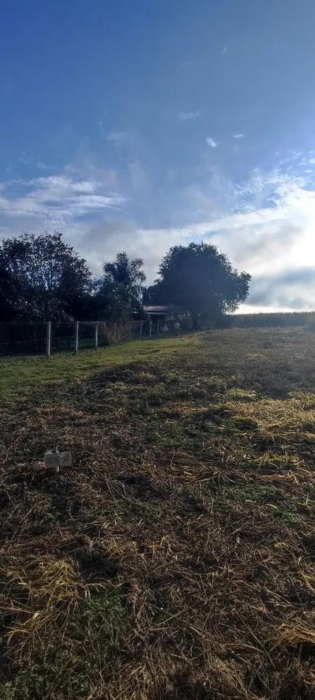 Terreno, 1000 m² - Foto 2