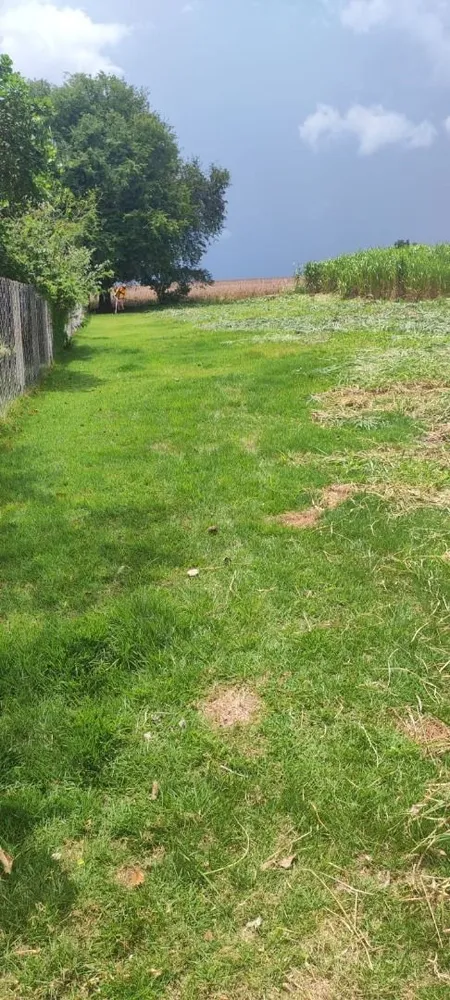 Terreno, 1000 m² - Foto 1