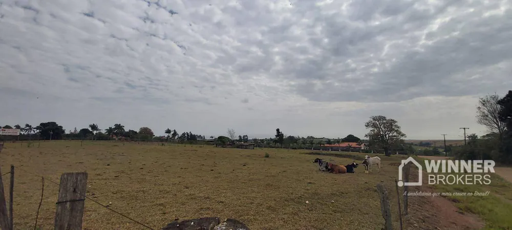 Terreno, 1 hectares - Foto 7