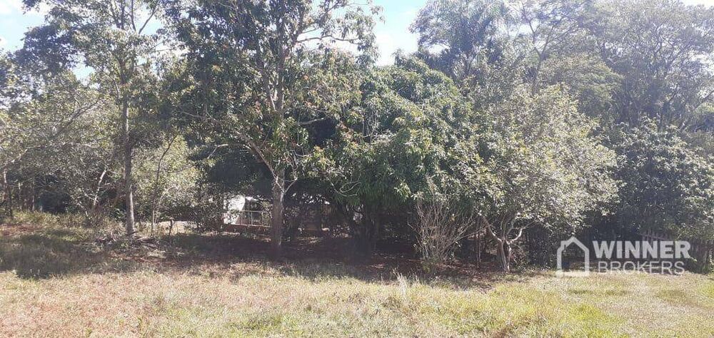 Sítio à venda com 2 quartos, 80m² - Foto 7