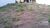 Loteamento e Condomínio, 360 m² - Foto 2