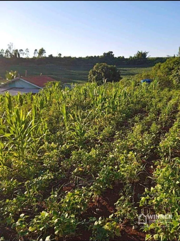 Chácara à venda com 2 quartos, 3000M2 - Foto 1