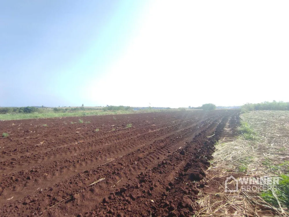 Chácara, 1 quarto, 3 hectares - Foto 10
