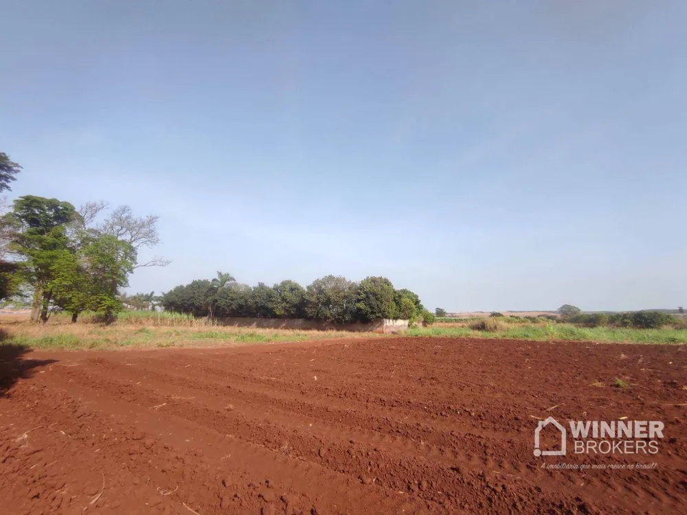 Chácara, 1 quarto, 3 hectares - Foto 4