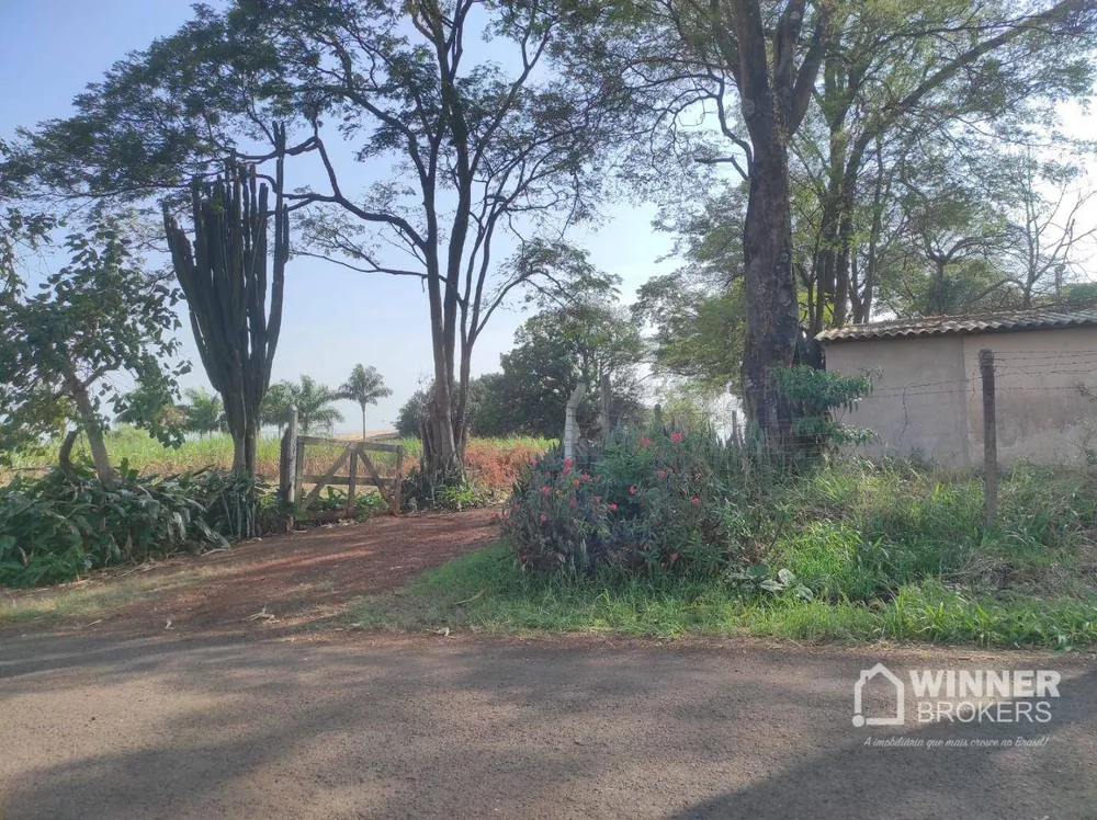 Chácara, 1 quarto, 3 hectares - Foto 1