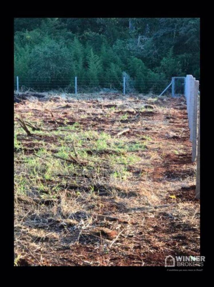 Chácara à venda e aluguel com 1 quarto, 3685M2 - Foto 16