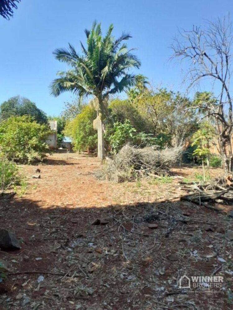Chácara à venda e aluguel com 1 quarto, 3685M2 - Foto 3