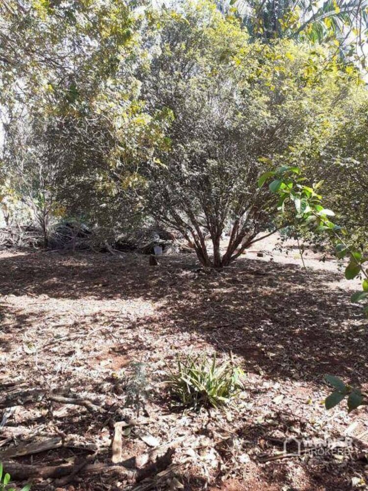 Chácara à venda e aluguel com 1 quarto, 3685M2 - Foto 6