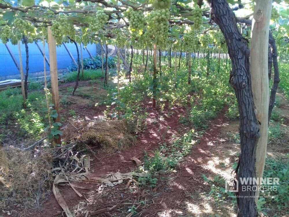 Chácara à venda com 3 quartos, 5152M2 - Foto 10