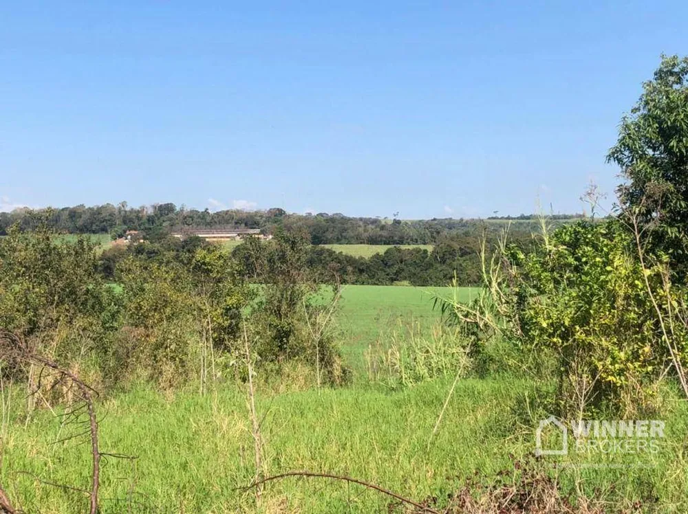 Terreno, 11 hectares - Foto 3