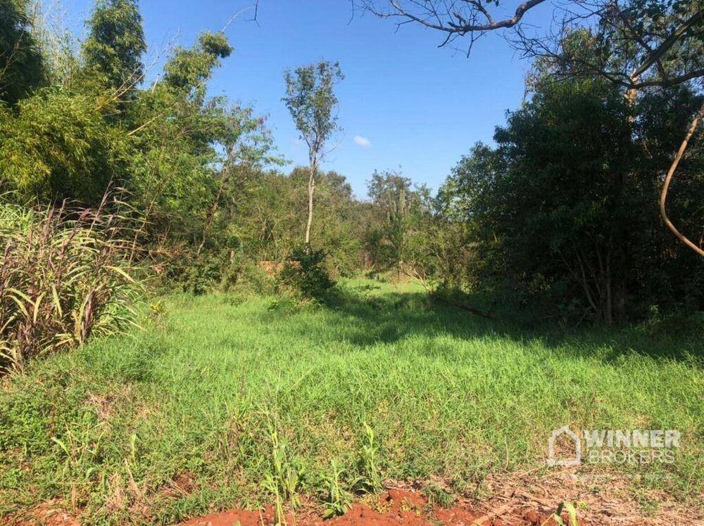 Terreno, 11 hectares - Foto 3