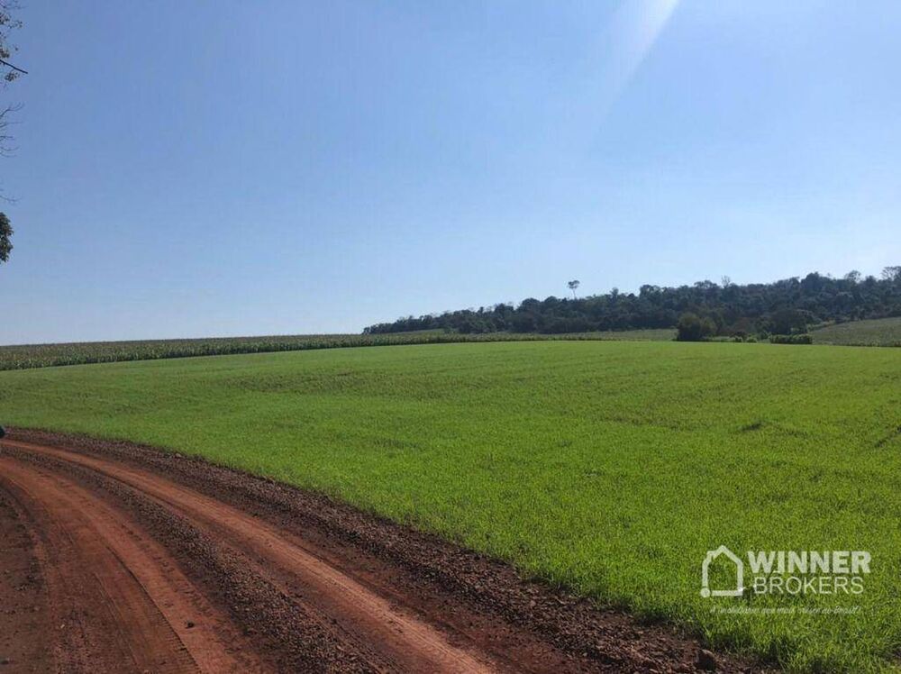 Terreno, 11 hectares - Foto 1