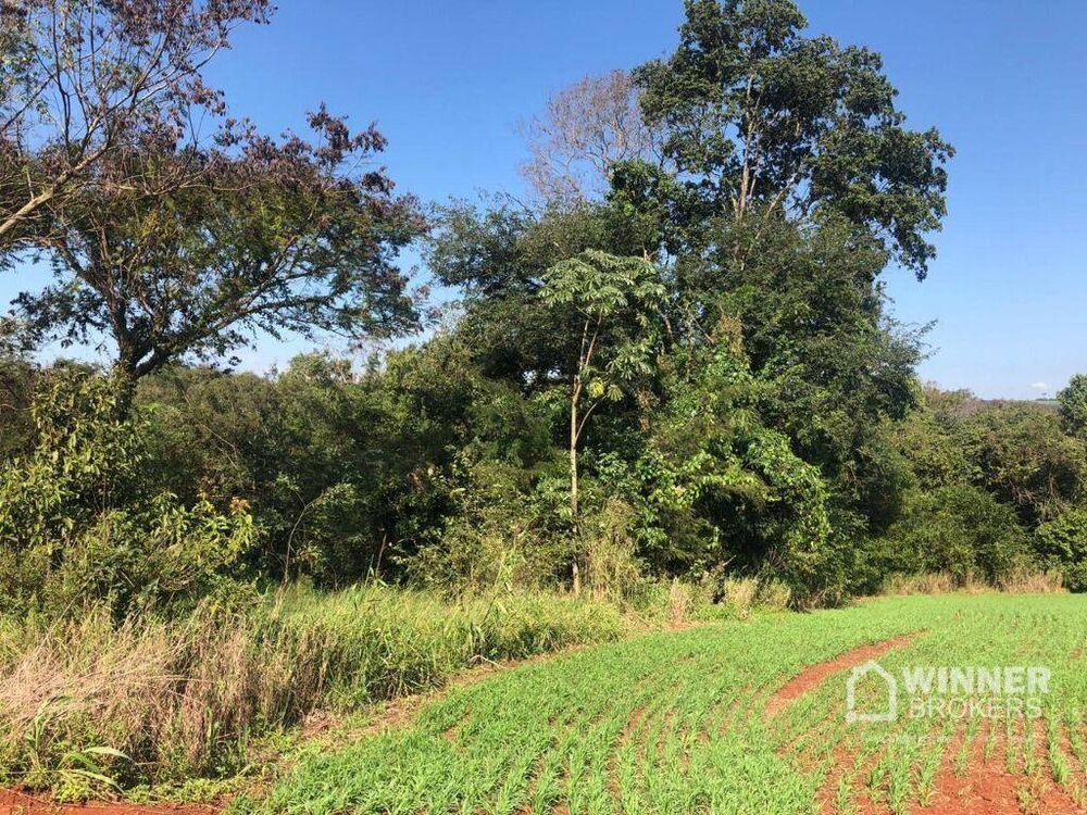 Terreno, 11 hectares - Foto 4