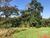 Terreno, 11 hectares - Foto 3