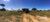 Fazenda, 7497 hectares - Foto 4