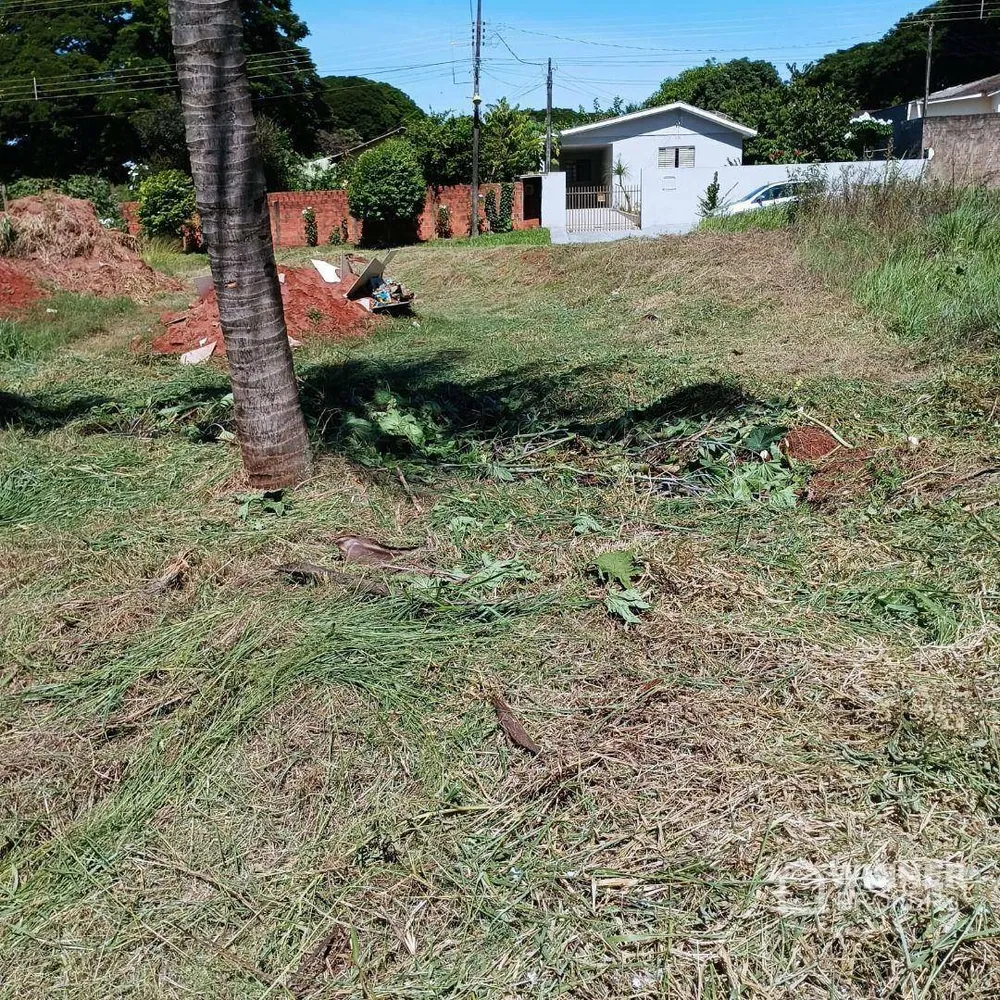 Terreno, 207 m² - Foto 4