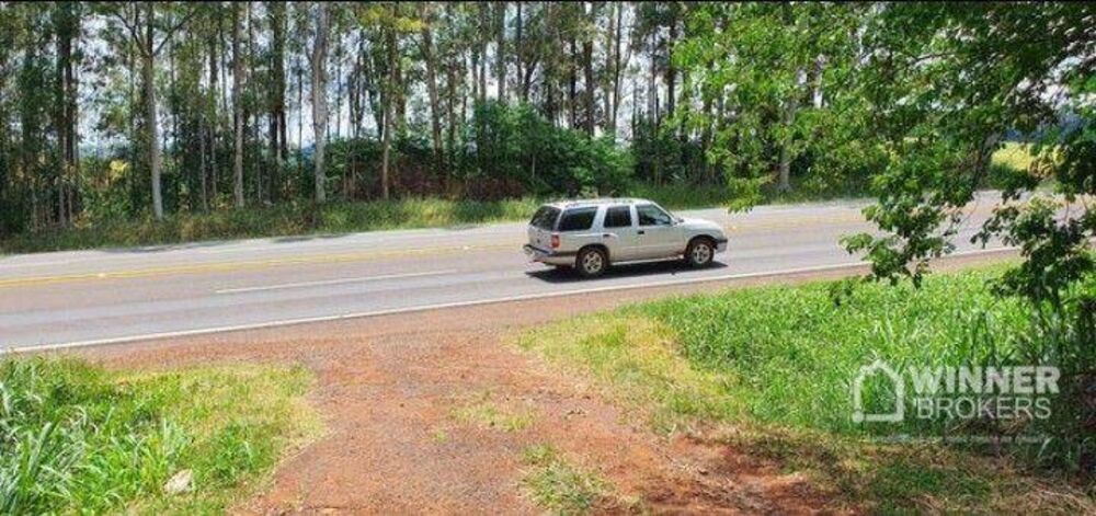 Sítio, 12 hectares - Foto 5