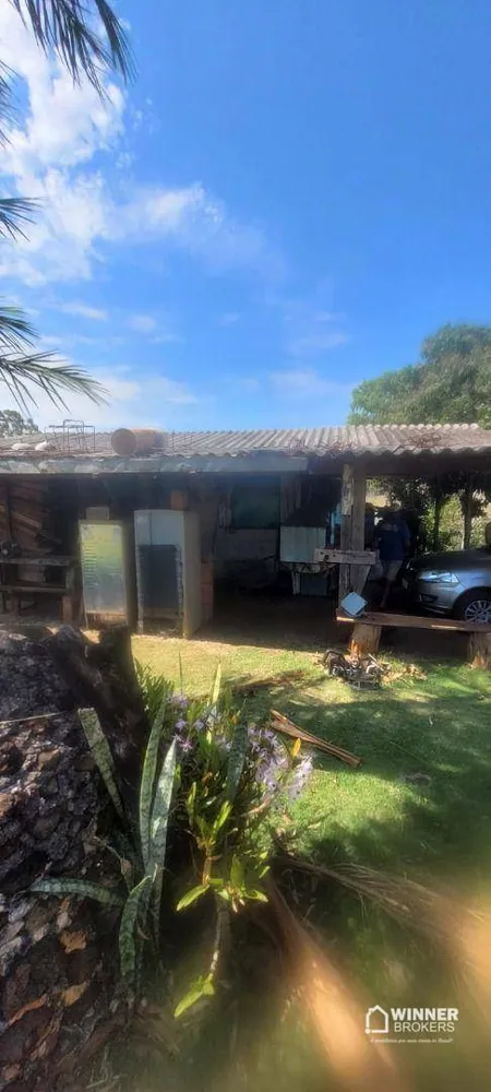 Sítio, 2 quartos, 4 hectares - Foto 1