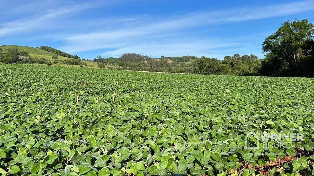 Terreno à venda, 580800M2 - Foto 1