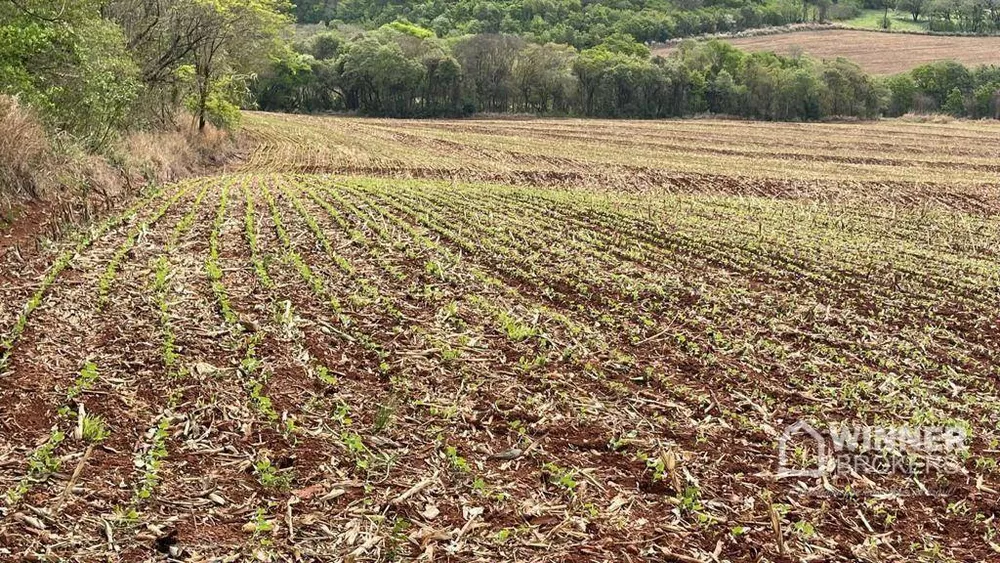 Terreno à venda, 580800M2 - Foto 4