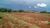 Fazenda, 17 hectares - Foto 1