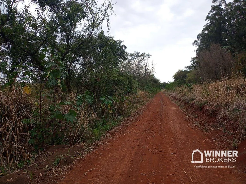 Terreno, 2 hectares - Foto 6